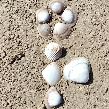 فندق مبيت وإفطار Casa Desimio