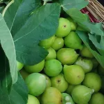 Casa Desimio Bed & Breakfast 3*